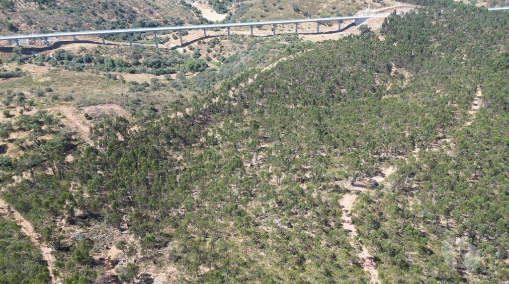 Terrenos Alandroal - Fotos para Terreno de 29 Hectares com Viabilidade para Turismo Rural em