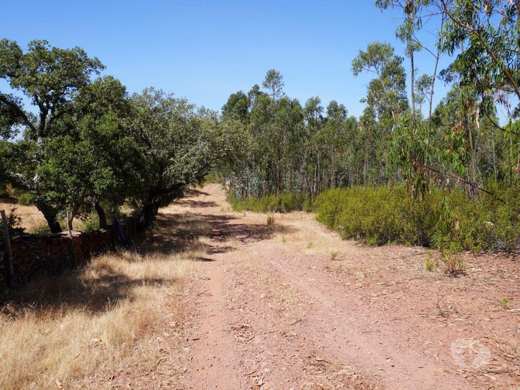 Terrenos Alandroal - Fotos para Terreno de 29 Hectares com Viabilidade para Turismo Rural em