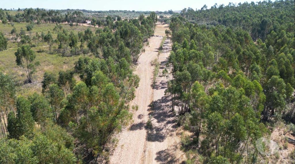 Terrenos Alandroal - Fotos para Terreno de 29 Hectares com Viabilidade para Turismo Rural em