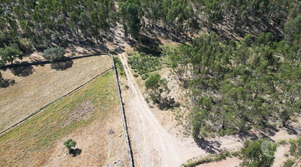 Terrenos Alandroal - Fotos para Terreno de 29 Hectares com Viabilidade para Turismo Rural em