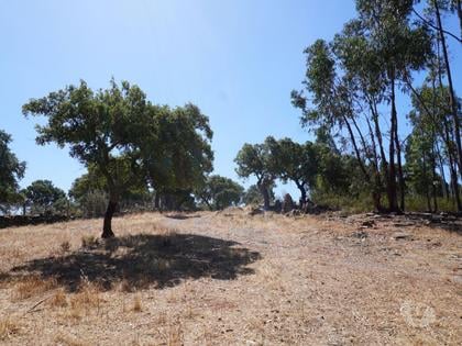 Terrenos a venda - Fotos para Terreno de 29 Hectares com Viabilidade para Turismo Rural em