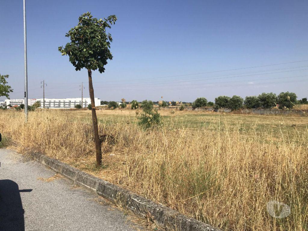 Terrenos Évora - Fotos para Terreno urbano Évora 10.749m2 projeto aprovado para habitação