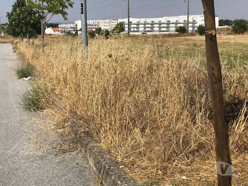 Terrenos Évora - Fotos para Terreno urbano Évora 10.749m2 projeto aprovado para habitação