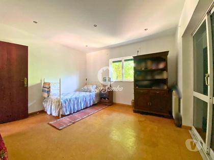 Casas e apartamentos - venda - Fotos para Barcelos-Moradia com jardim em Barcelos (265-M-01553)