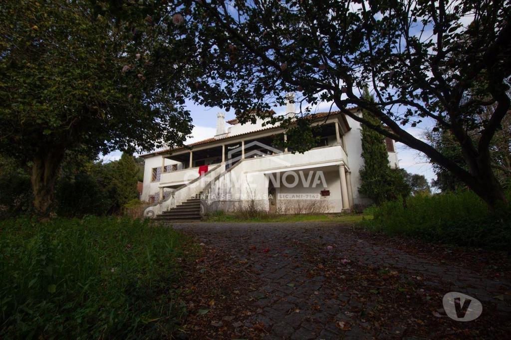 Terrenos Santo Tirso - Fotos para Quinta com 25 hectares venda c produção vinho verde pouco