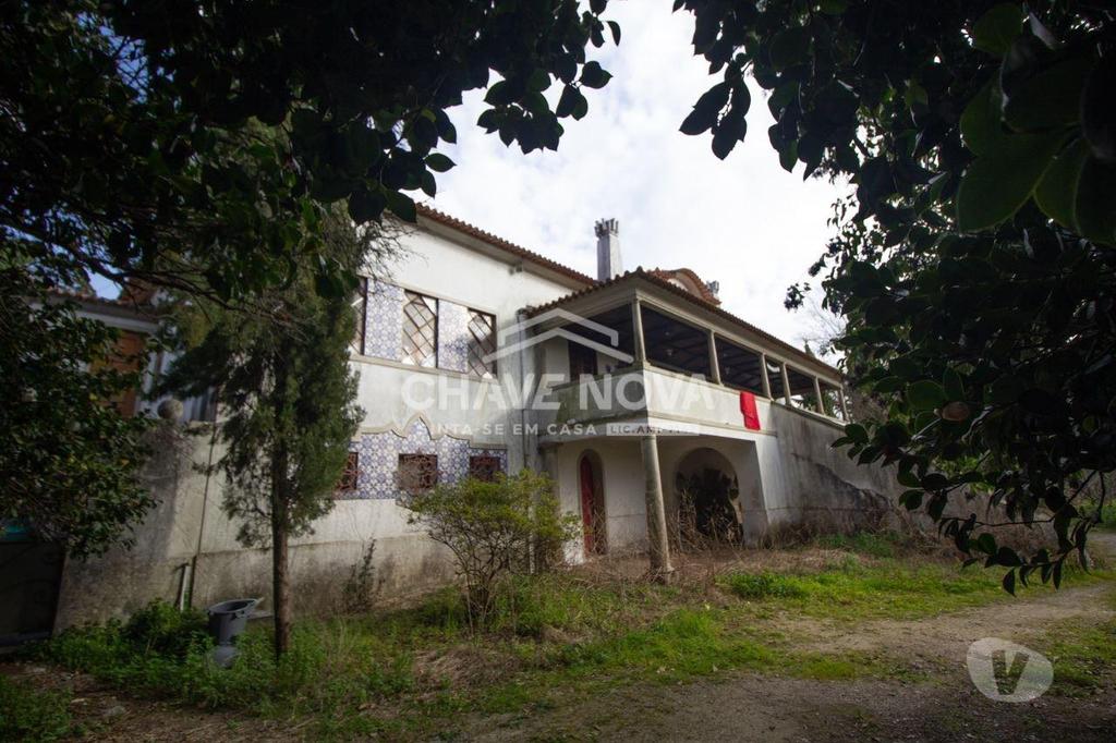 Terrenos Santo Tirso - Fotos para Quinta com 25 hectares venda c produção vinho verde pouco