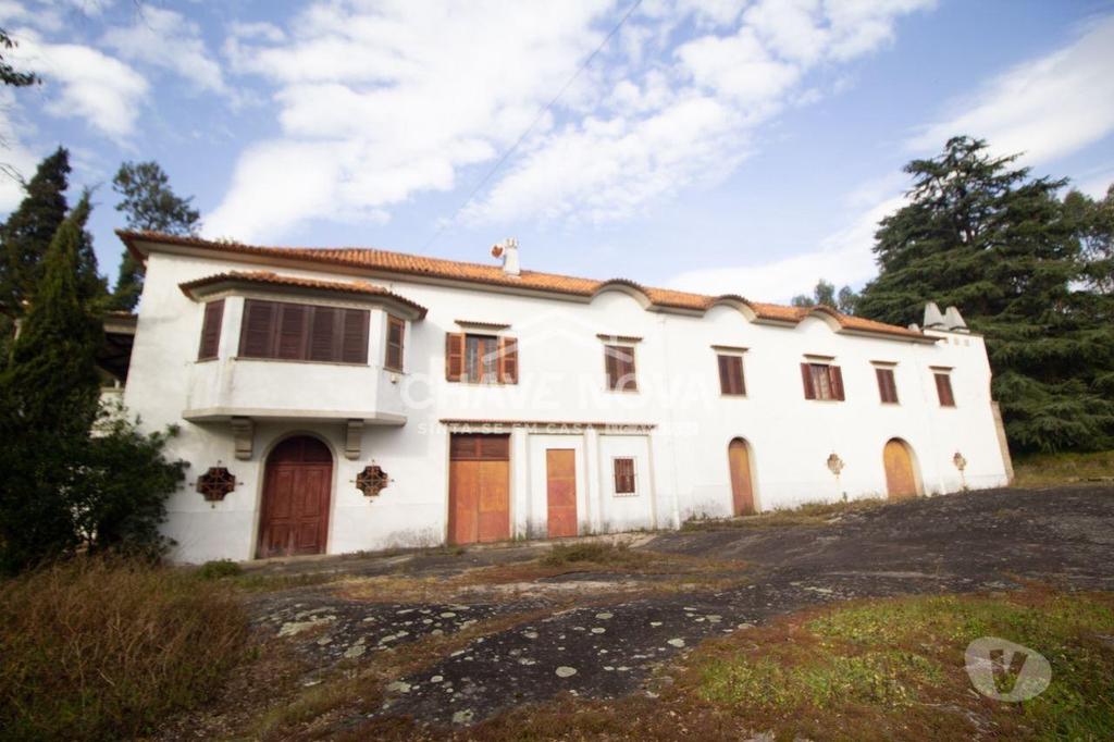 Terrenos Santo Tirso - Fotos para Quinta com 25 hectares venda c produção vinho verde pouco