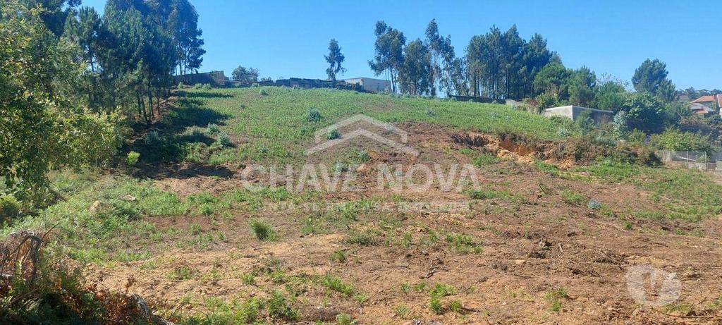Terrenos Vila Nova de Gaia - Fotos para Terreno P Construção de Moradia de 4 Frentes (MAD 01833)