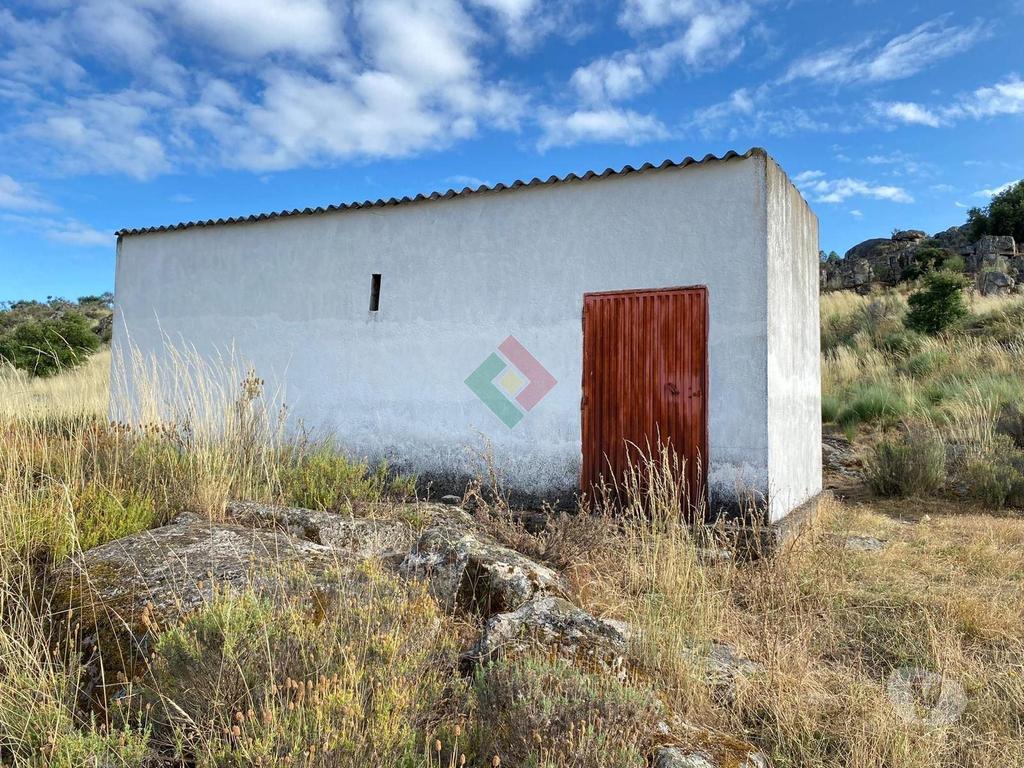 Terrenos Marvão - Fotos para Marvao-TERRENO AGRÍCOLA EM BARRETOS (JG.11222)