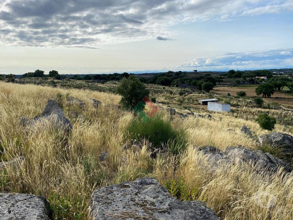 Terrenos Marvão - Fotos para Marvao-TERRENO AGRÍCOLA EM BARRETOS (JG.11222)