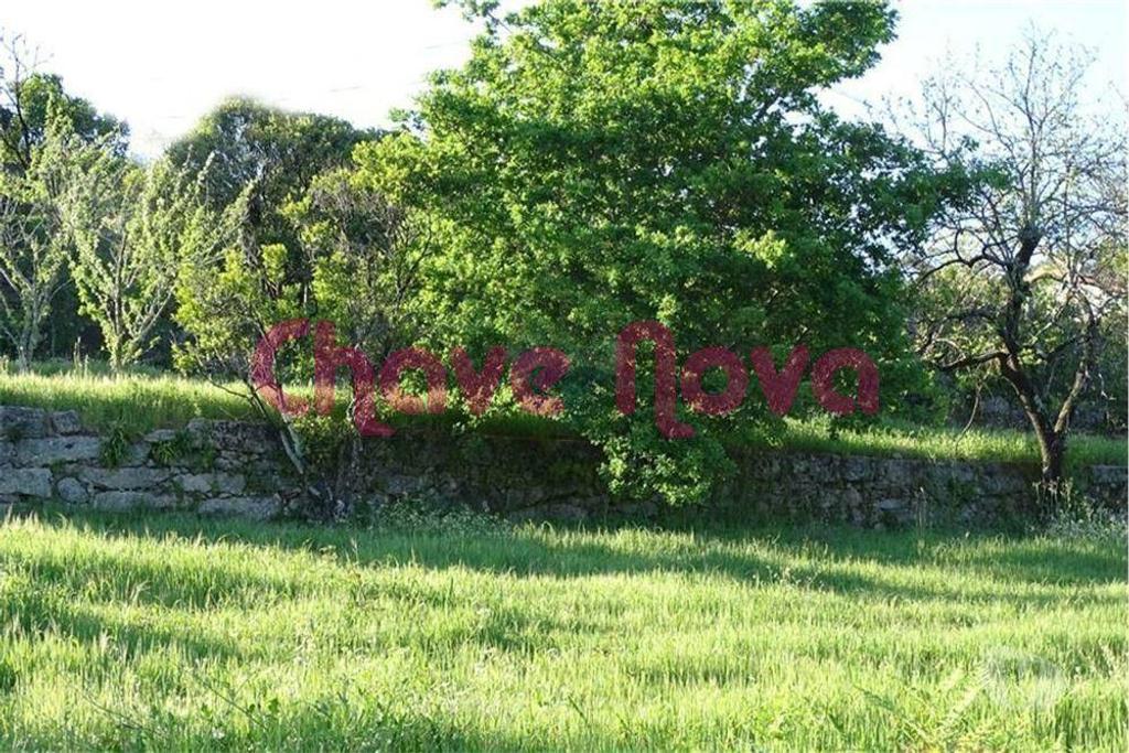 Terrenos Maia - Fotos para Maia-Terreno Castelo da Maia (MAI 02184)