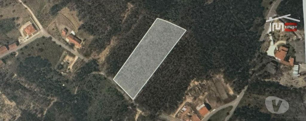 Terrenos Ourém - Fotos para Terreno com área total de 6.800 m2 de pinhal e eucaliptos no