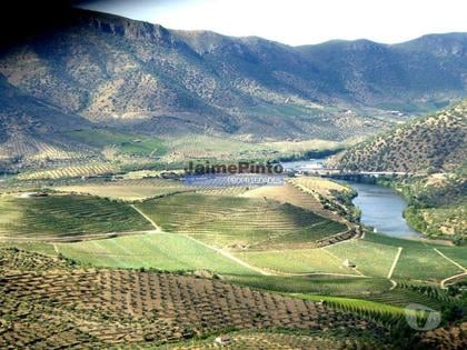 Venda Loja - Fotos para EDIFÍCIO ANTIGO, um só PISO, ampla LOCALIZAÇÃO. Portugal,...