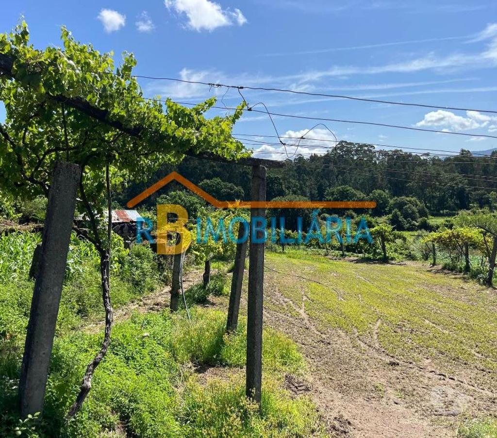 Terrenos Arouca - Fotos para Casa em Ruínas + terreno na Ribeira - Mansores, Arouca