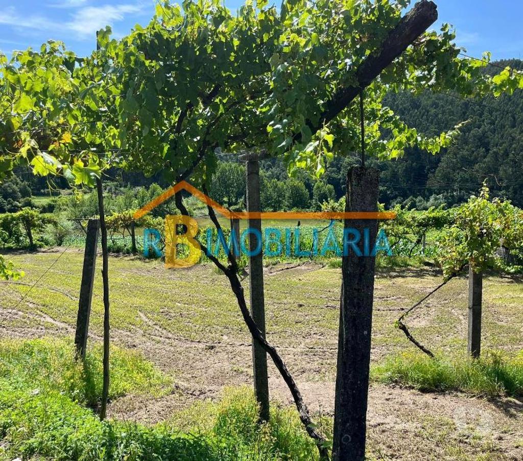 Terrenos Arouca - Fotos para Casa em Ruínas + terreno na Ribeira - Mansores, Arouca