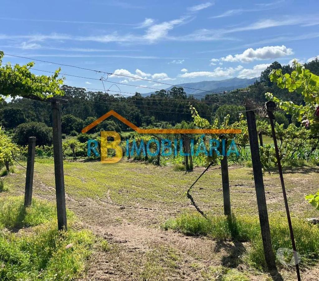 Terrenos Arouca - Fotos para Casa em Ruínas + terreno na Ribeira - Mansores, Arouca