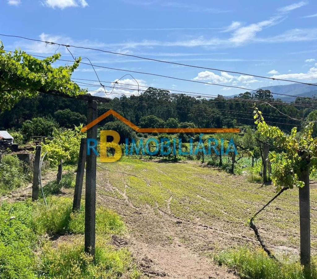 Terrenos Arouca - Fotos para Casa em Ruínas + terreno na Ribeira - Mansores, Arouca