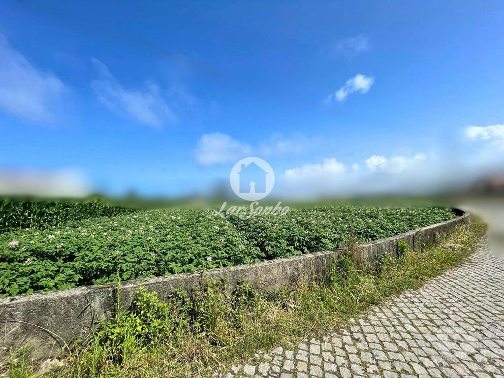 Terrenos Esposende - Fotos para Esposende-Terreno para construção em Esposende (265-T-01575)