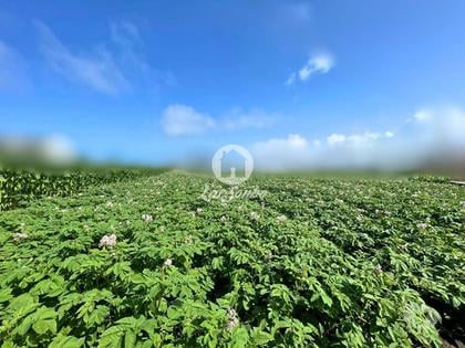 Terrenos - Fotos para Esposende-Terreno para construção em Esposende (265-T-01575)