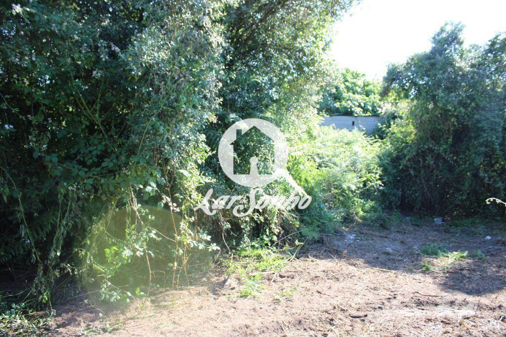 Apartamentos a venda Barcelos - Fotos para Moradia com terreno para restauro em Barcelos (265-M-00465)