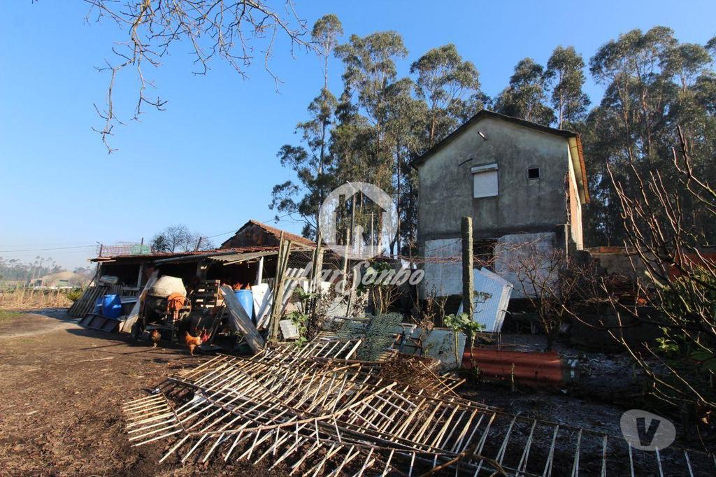 Apartamentos a venda Barcelos - Fotos para Moradia com terreno para restauro em Barcelos (265-M-00465)