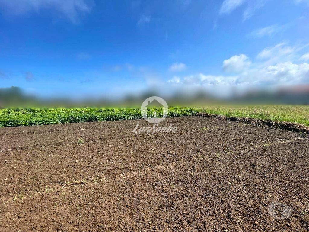 Terrenos Esposende - Fotos para Terreno para construção de moradia na Apúlia (265-T-01574)
