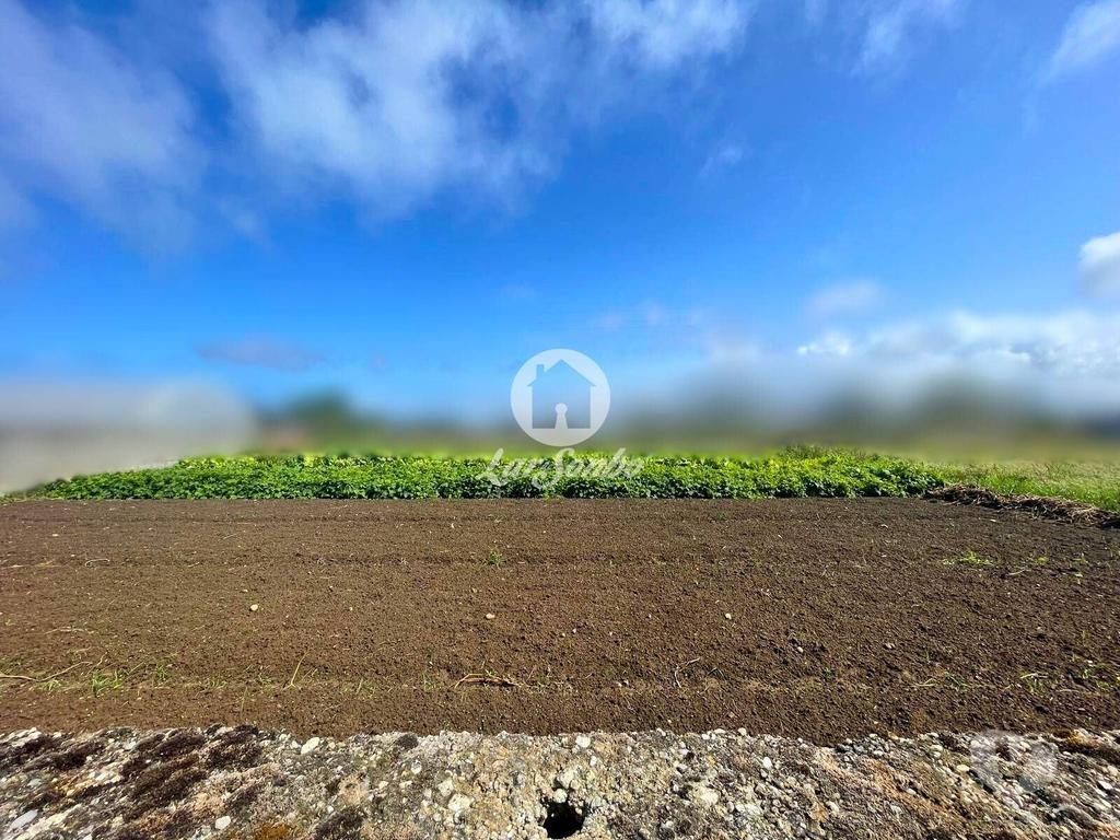 Terrenos Esposende - Fotos para Terreno para construção de moradia na Apúlia (265-T-01574)
