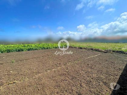 Terrenos - Fotos para Terreno para construção de moradia na Apúlia (265-T-01574)