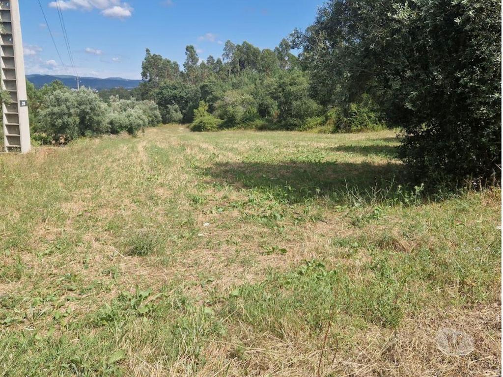 Terrenos Mealhada - Fotos para Loteamento p armazéns, para venda, Mealhada - Casal Comba