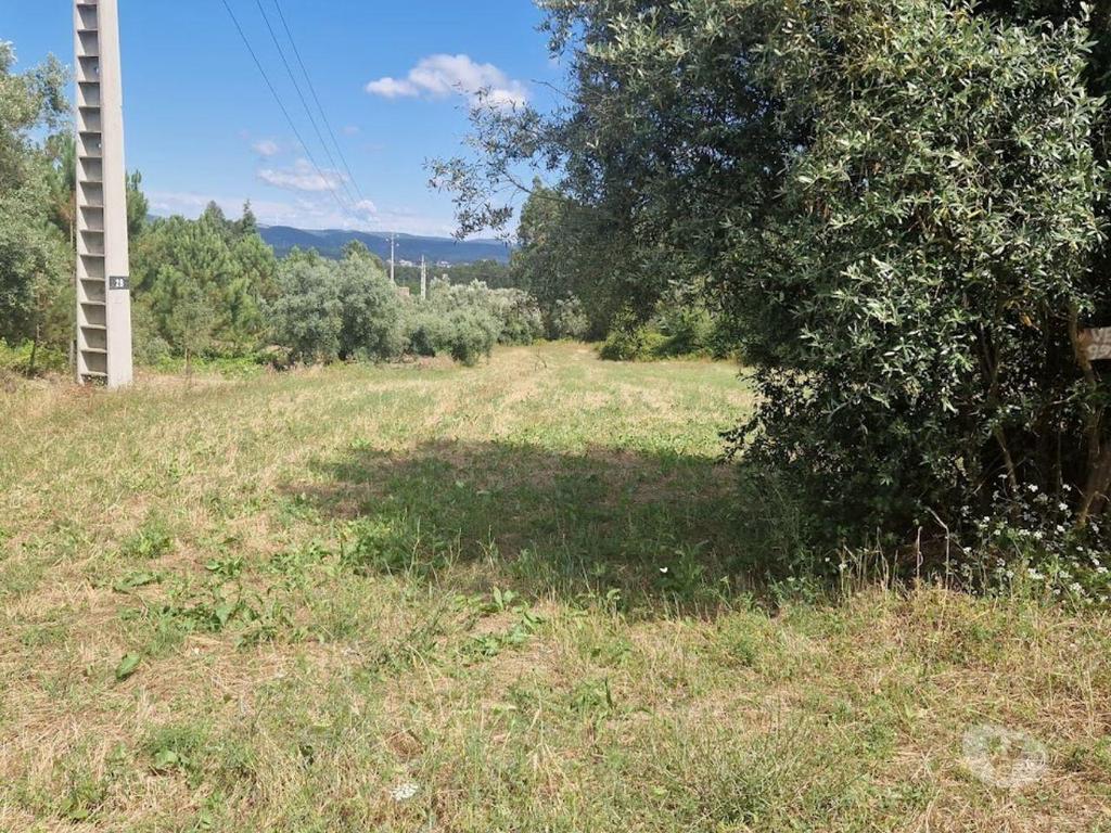 Terrenos Mealhada - Fotos para Loteamento p armazéns, para venda, Mealhada - Casal Comba