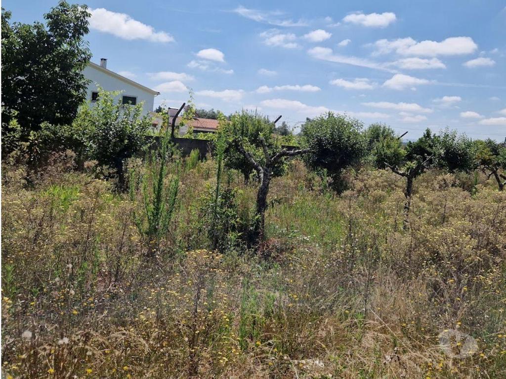 Terrenos Mealhada - Fotos para Terreno p moradia, para venda, Mealhada - Mealhada, Ventosa do