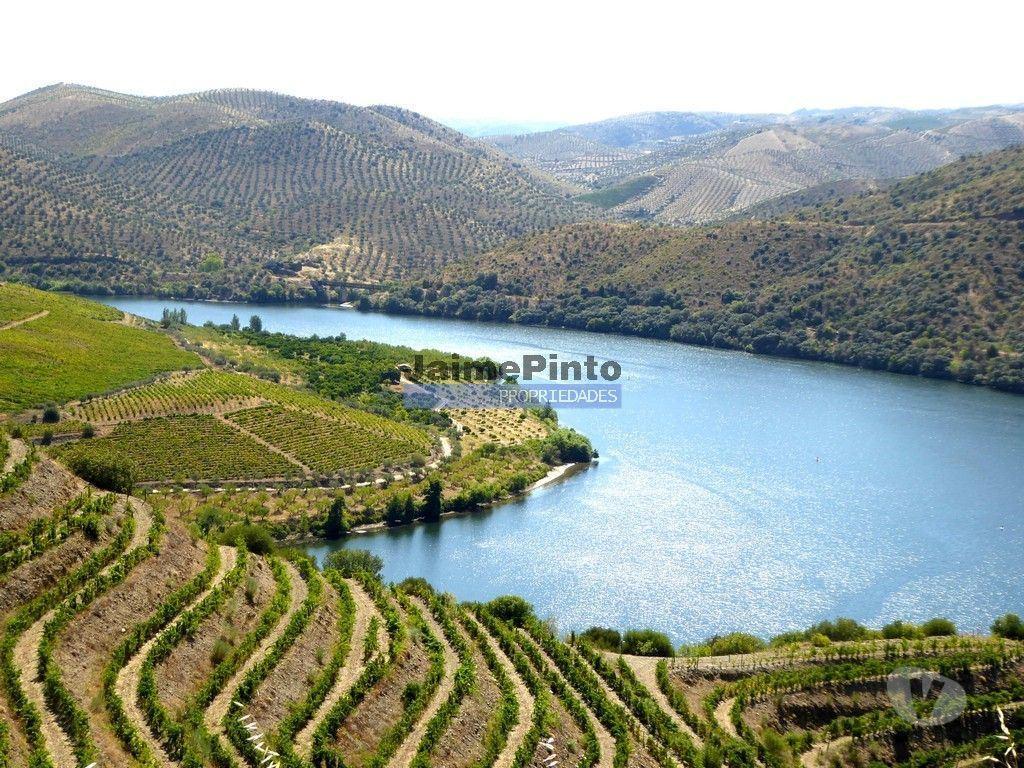 Terrenos Vila Nova de Foz Côa - Fotos para 1.570.000m2, Vinha, Olival, Amendoal, Casa. Portugal, Douro, Foz