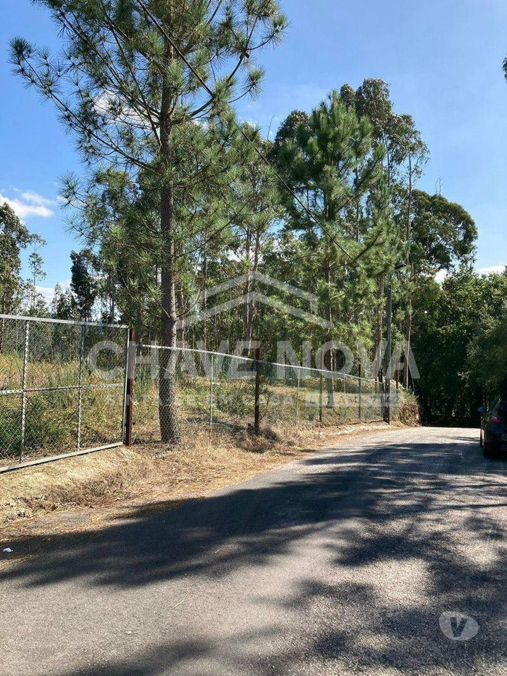 Terrenos Vila Nova de Gaia - Fotos para Lote de Terreno com Projecto Aprovado para Moradia V3 em