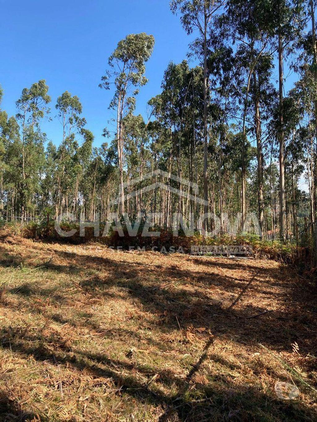 Terrenos Vila Nova de Gaia - Fotos para Lote de Terreno com Projecto Aprovado para Moradia V3 em