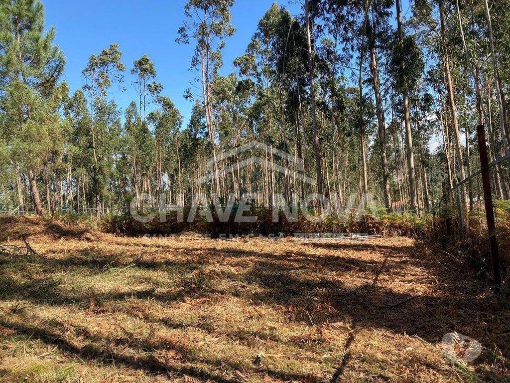 Terrenos Vila Nova de Gaia - Fotos para Lote de Terreno com Projecto Aprovado para Moradia V3 em