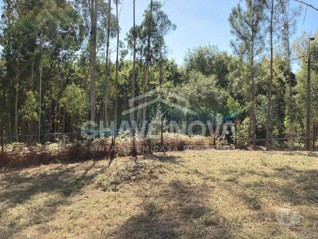 Terrenos Vila Nova de Gaia - Fotos para Lote de Terreno com Projecto Aprovado para Moradia V3 em