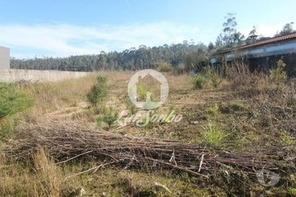 Terrenos - Fotos para Terreno p construção c 2057m2 na Junqueira (240-T-19554)