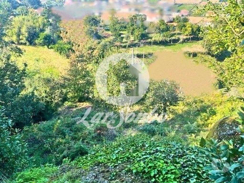 Terrenos Barcelos - Fotos para Barcelos-Quinta em Barcelos (265-Q-01592)