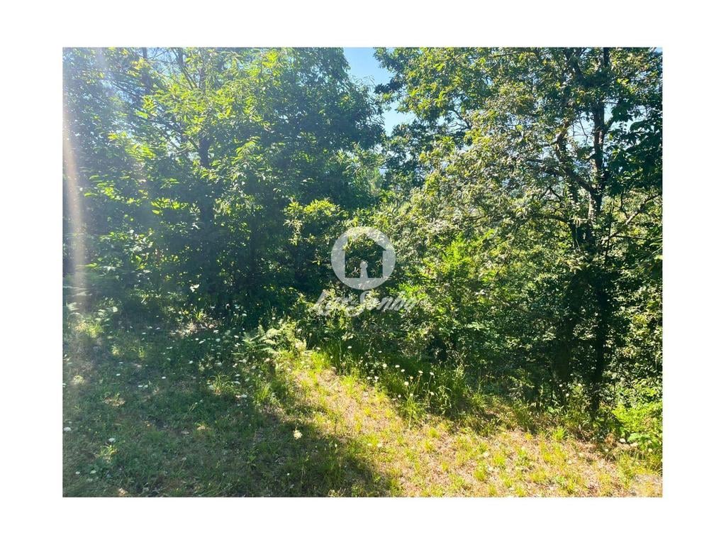 Terrenos Barcelos - Fotos para Barcelos-Quinta em Barcelos (265-Q-01592)