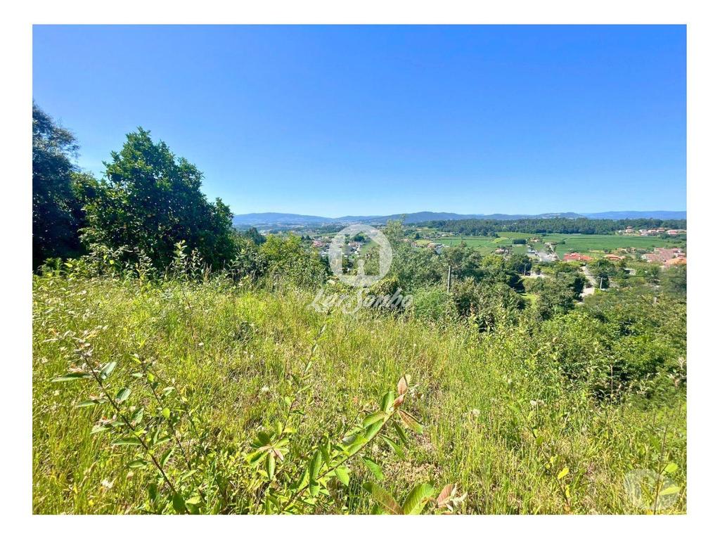 Terrenos Barcelos - Fotos para Barcelos-Quinta em Barcelos (265-Q-01592)