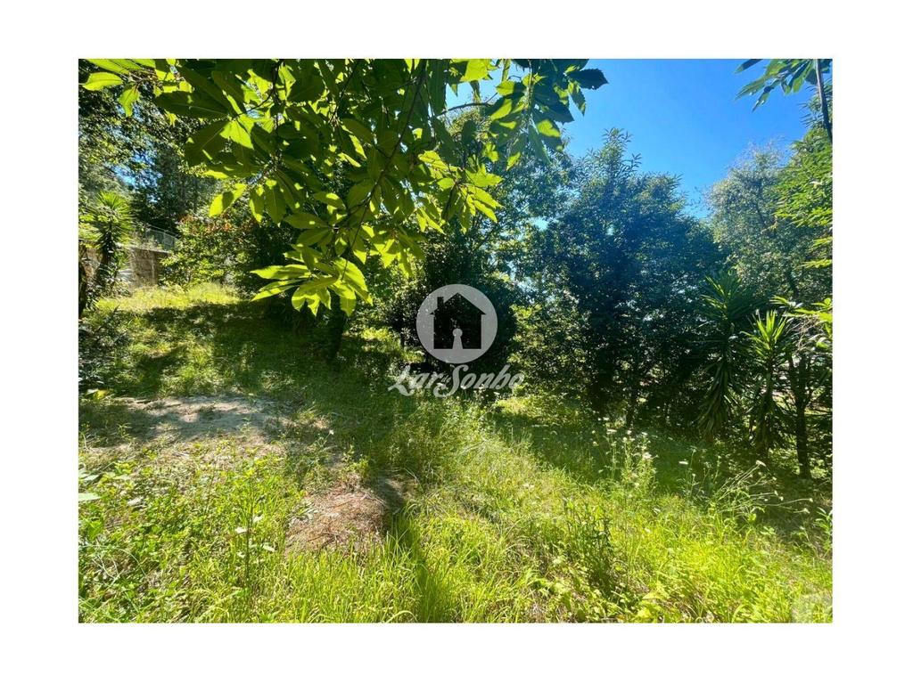 Terrenos Barcelos - Fotos para Barcelos-Quinta em Barcelos (265-Q-01592)