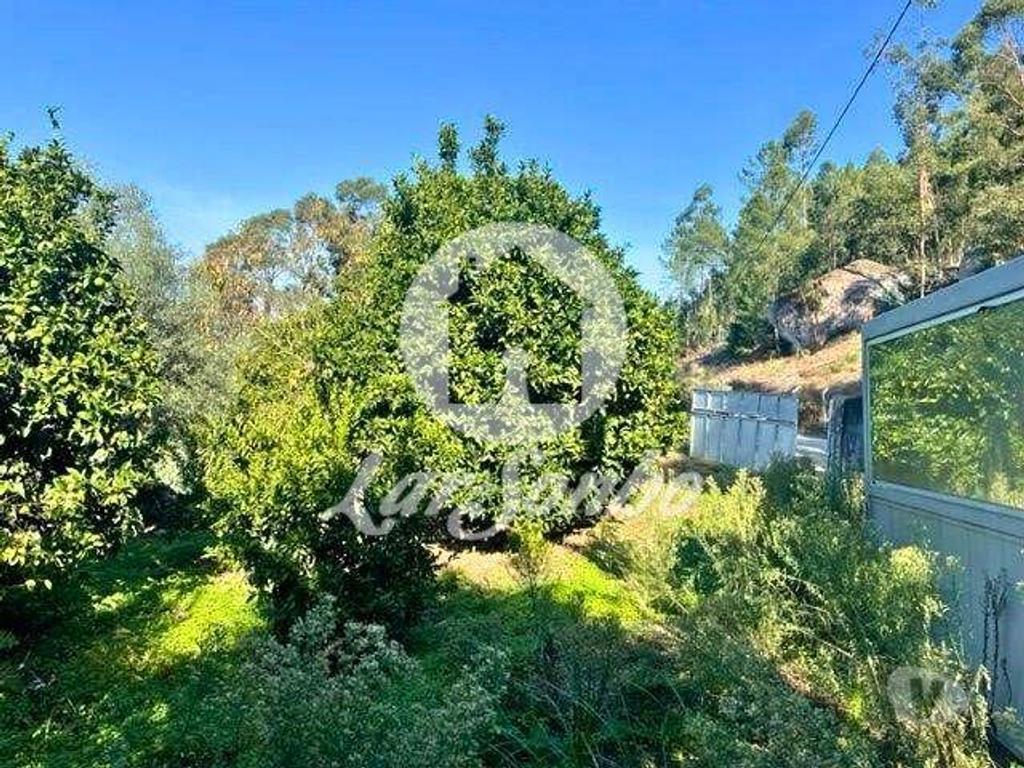 Terrenos Barcelos - Fotos para Barcelos-Quinta em Barcelos (265-Q-01592)