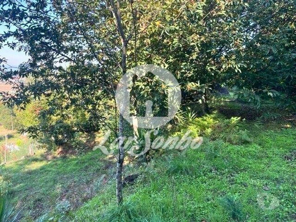 Terrenos Barcelos - Fotos para Barcelos-Quinta em Barcelos (265-Q-01592)