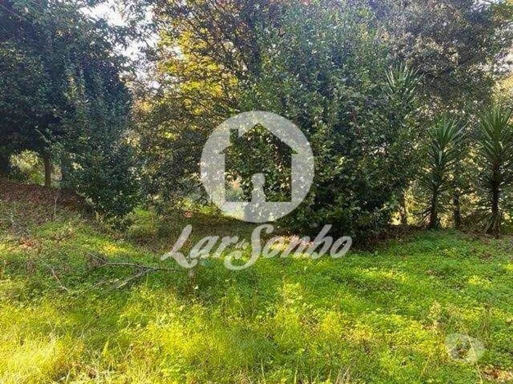 Terrenos Barcelos - Fotos para Barcelos-Quinta em Barcelos (265-Q-01592)