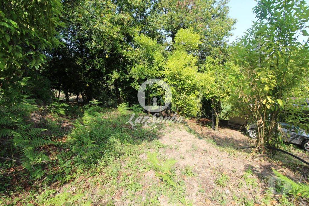 Terrenos Vila Verde - Fotos para Quintinha para restauro em Atães, Vila verde (240-Q-22802)