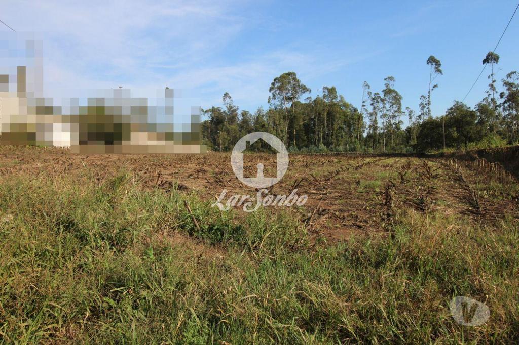 Terrenos Vila do Conde - Fotos para Terreno plano para construção com 5200m2 em Bagunte, Vila do