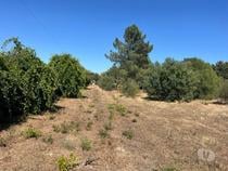 Fotos para Setubal-Terreno na Gambia-Pontes (0000007164)