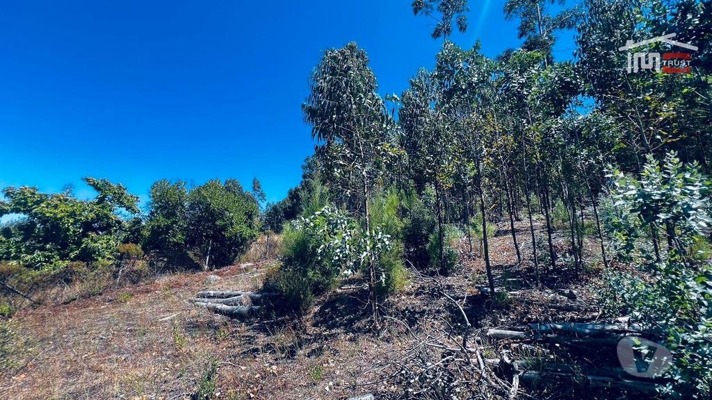 Apartamentos a venda Mação - Fotos para *Moradia T4 em Mação - Encanto Rural e Potencial Infinito -