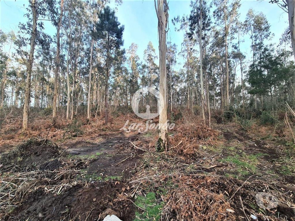 Terrenos Vila do Conde - Fotos para Bouça c 8.000m2 em Tougues, Vila do conde (240-T-23328)