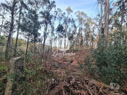Terrenos a venda - Fotos para Bouça c 8.000m2 em Tougues, Vila do conde (240-T-23328)